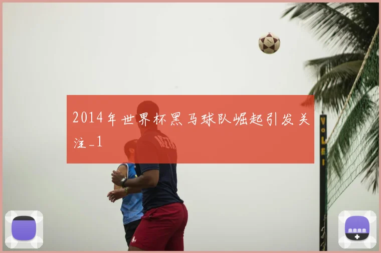 2014年世界杯黑马球队崛起引发关注_1