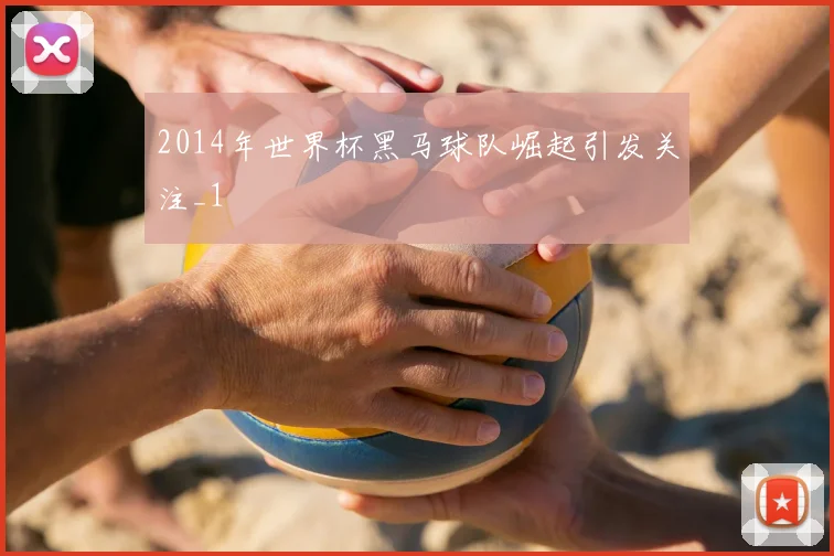 2014年世界杯黑马球队崛起引发关注_1