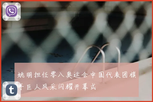 姚明担任零八奥运会中国代表团旗手巨人风采闪耀开幕式
