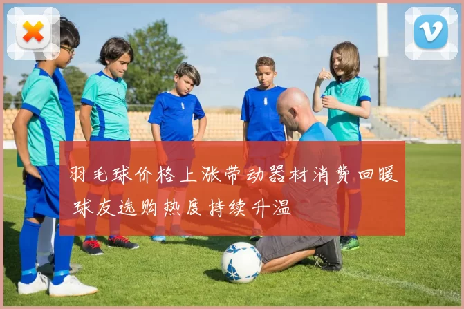 羽毛球价格上涨带动器材消费回暖 球友选购热度持续升温