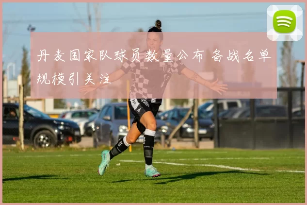 丹麦国家队球员数量公布 备战名单规模引关注