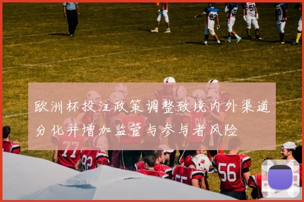 欧洲杯投注政策调整致境内外渠道分化并增加监管与参与者风险